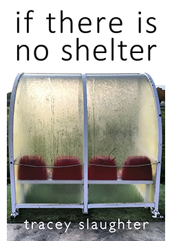 if there is no shelter : Tracey Slaughter